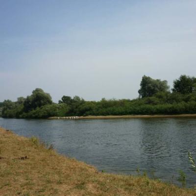 Сож у деревни Баков