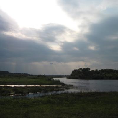 Припять в районе Петрикова