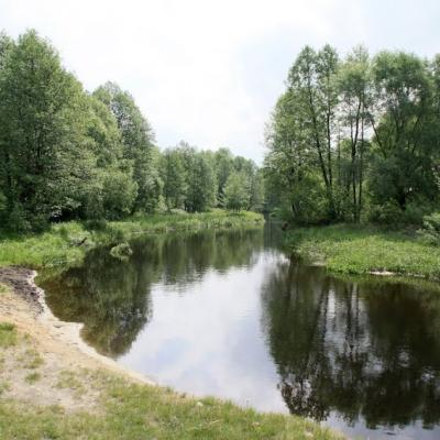 Муховец до Кобрина