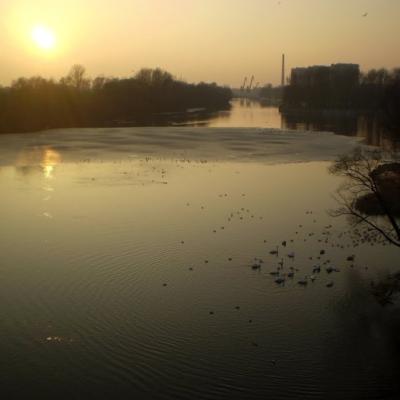 Муховец в Бресте